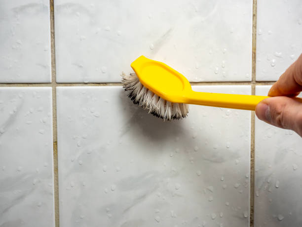 Best Same-Day Mold Removal  in Fairmount, CO