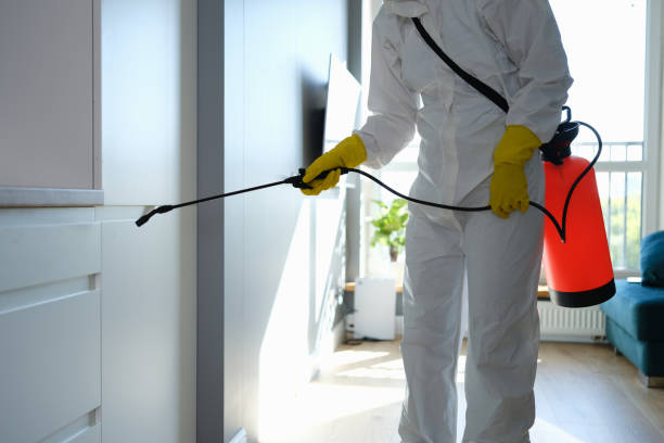 Best Crawl Space Mold Removal  in Fairmount, CO