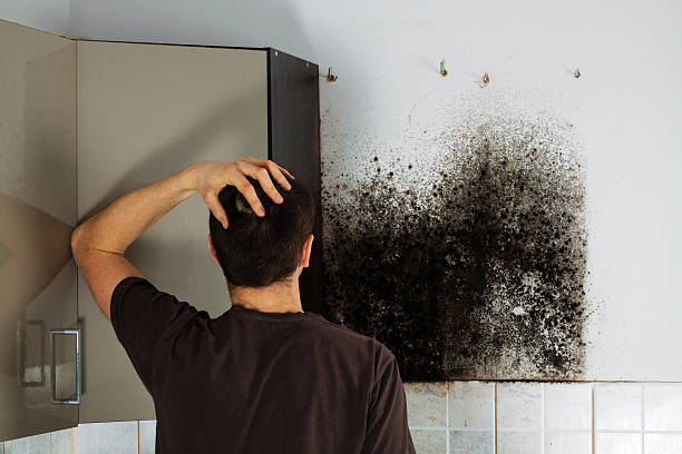 Best Emergency Mold Removal  in Fairmount, CO